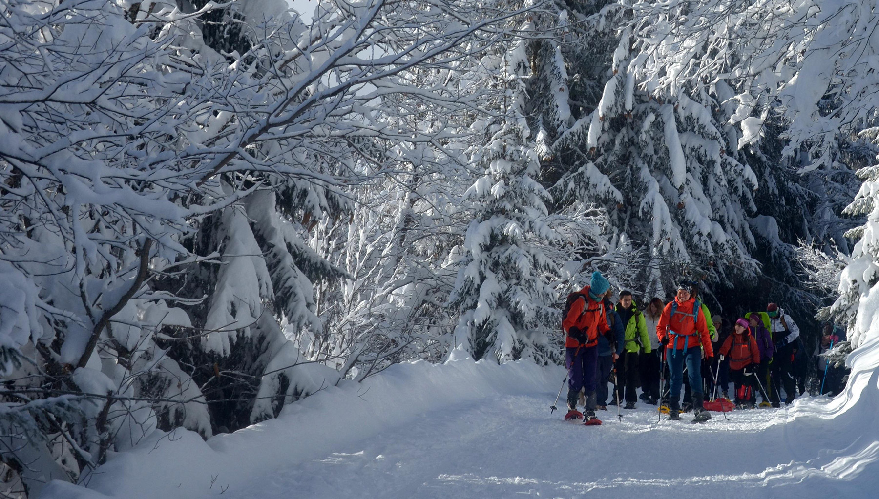 Schneeschuh Wandern Rund Um Frauenwald Am Rennsteig